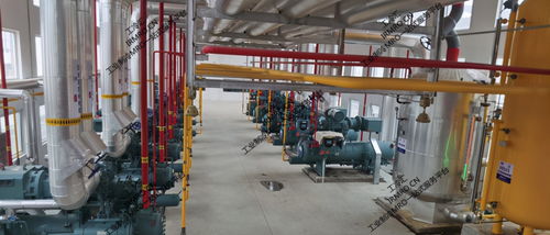 工冷匯紀(jì)實(shí) 東北某肉聯(lián)廠約克壓縮機(jī)組節(jié)能升級(jí)